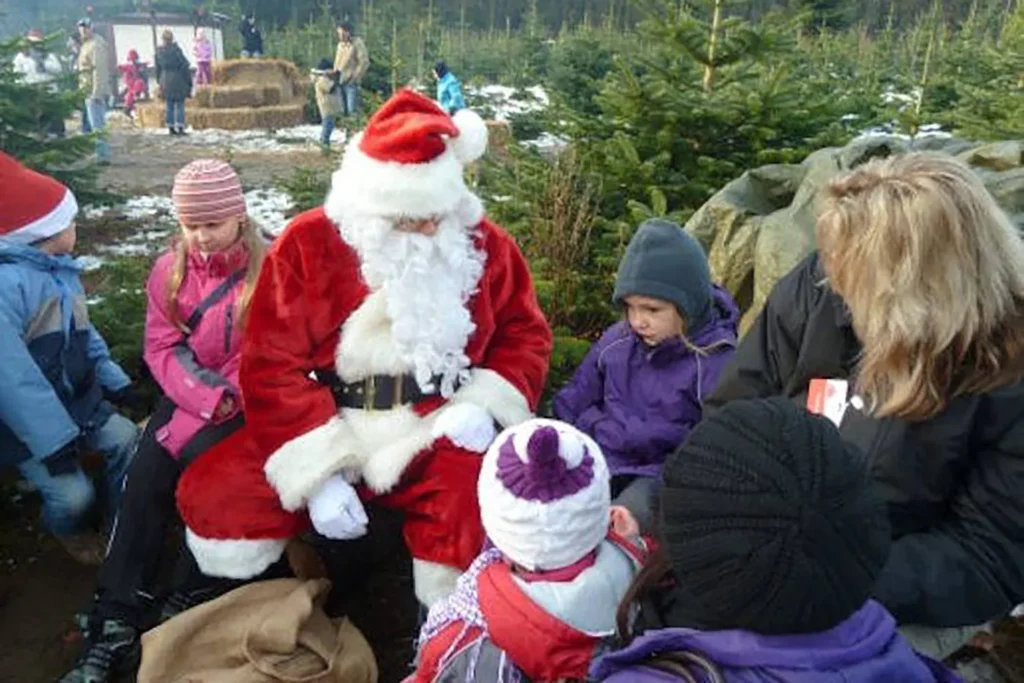 E.ON Weihnachtsbaumschlagen Kinderbeschäftigung